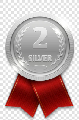 Professional Silver Package Real estate Agent