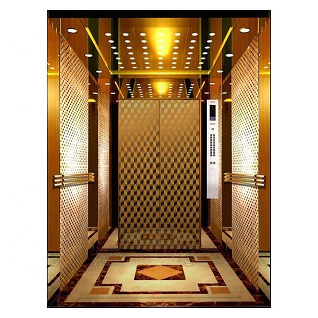 economic and customized design brand of fuji 6 person passenger elevator